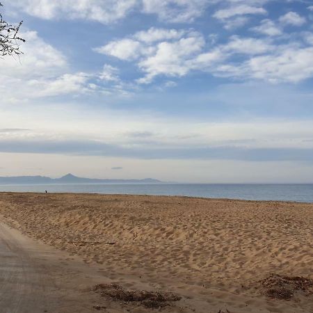 Assagador Del Palmar, 1 Dormitorio, Playa A 50M, By Bookindenia Zewnętrze zdjęcie